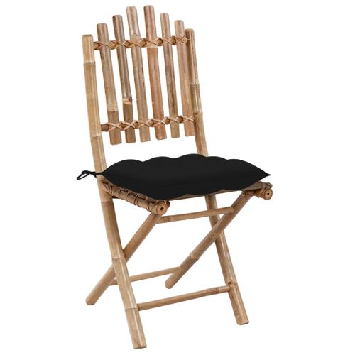 Chaises Pliables De Jardin Lot De 2 Avec Coussins Bambou