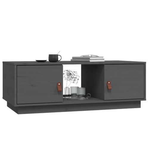 Table Basse Gris 100x50x35 Cm Bois Massif De Pin