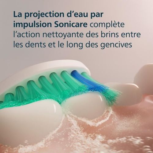 Lot De 6 Têtes De Brosse - Hx6016/87 - C1 White