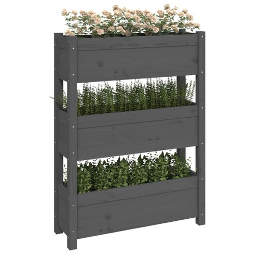 Jardinière Gris 77x25x104,5 Cm Bois Massif De Pin