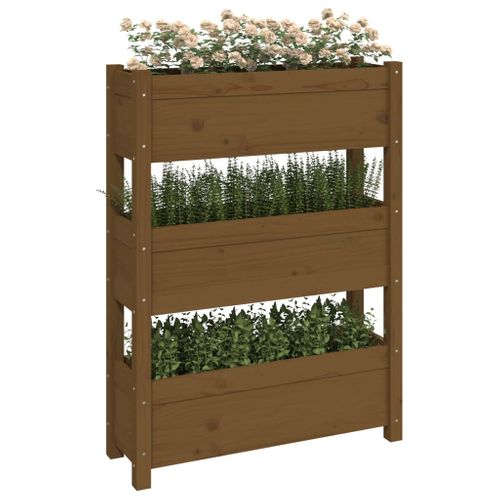 Jardinière Marron Miel 77x25x104,5 Cm Bois Massif De Pin