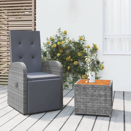 Ensemble De Salon De Jardin 2 PCs Gris Poly Rotin Et Acacia