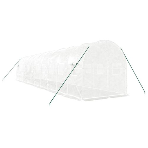 Serre Avec Cadre En Acier Blanc 20 M² 10x2x2 M