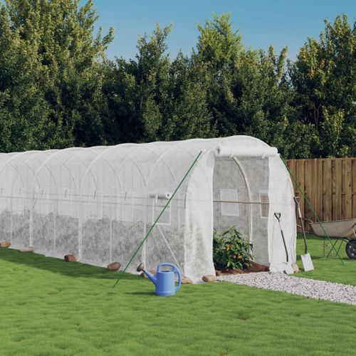 Serre Avec Cadre En Acier Blanc 24 M² 12x2x2 M