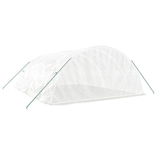 Serre Avec Cadre En Acier Blanc 30 M² 6x5x2,3 M