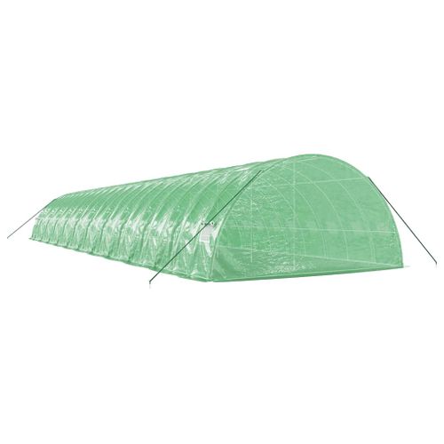 Serre Avec Cadre En Acier Vert 132 M² 22x6x2,85 M