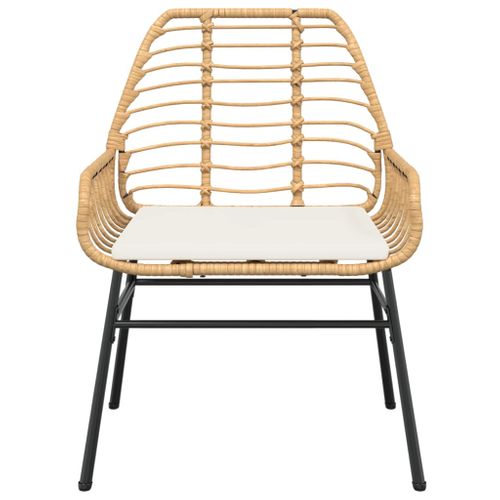 Chaises De Jardin Lot De 2 Et Coussins Marron Rotin