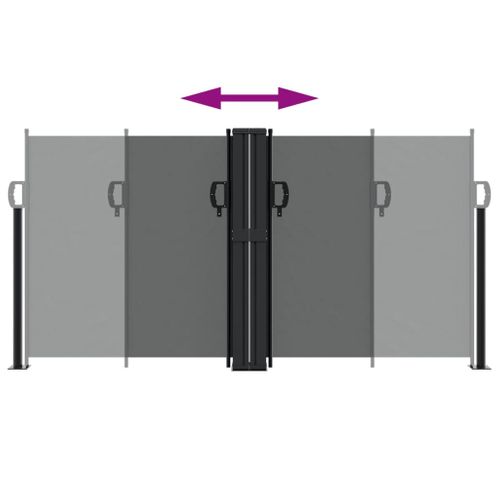 Auvent Latéral Rétractable Anthracite 120x1000 Cm