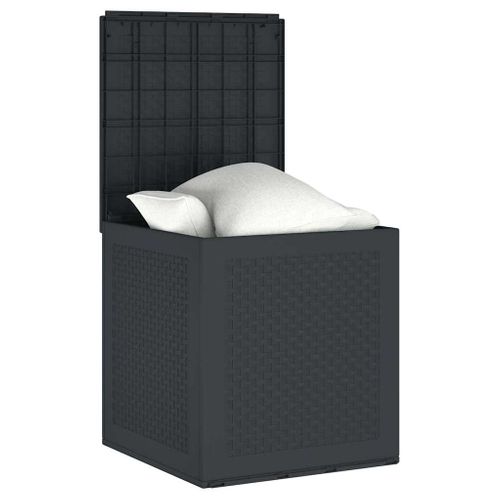 Boîte De Rangement De Jardin Anthracite 55 X 53 X 57 Cm