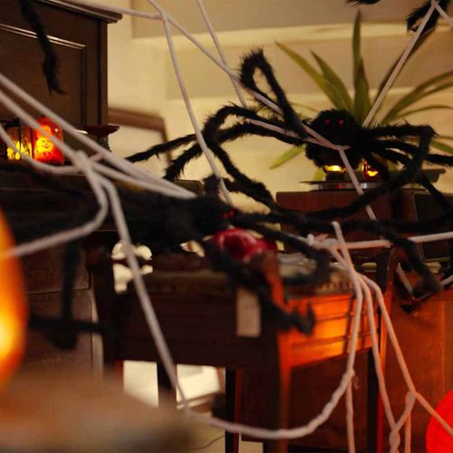 Décoration D'araignée D'halloween Avec Toiles 4 Pièces