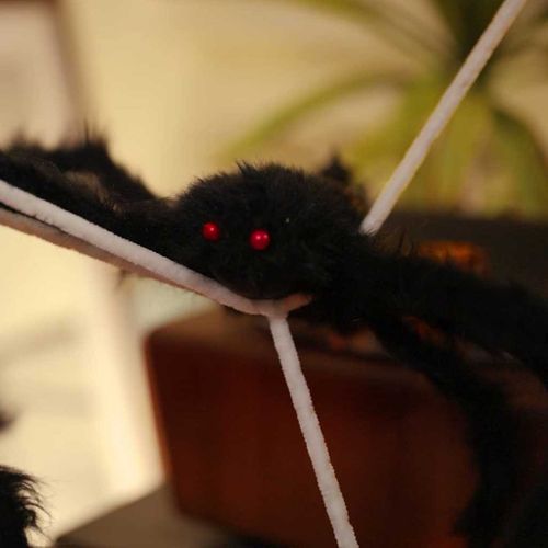 Décoration D'araignée D'halloween Avec Toiles 4 Pièces