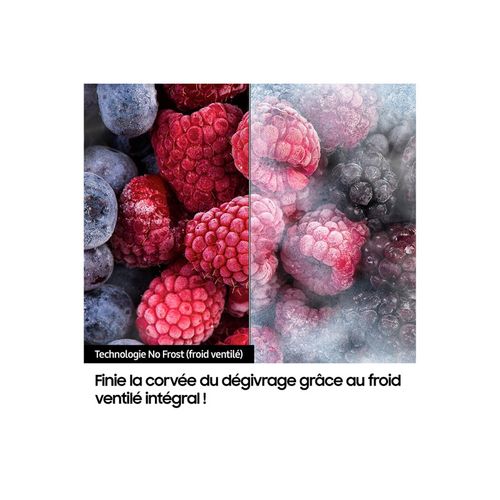 Réfrigérateur Congélateur 344l Graphite -  Rb33b610esa