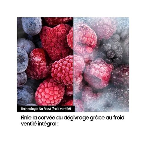 Réfrigérateur Combiné 75cm 538l No Frost - Rb53dg703es9