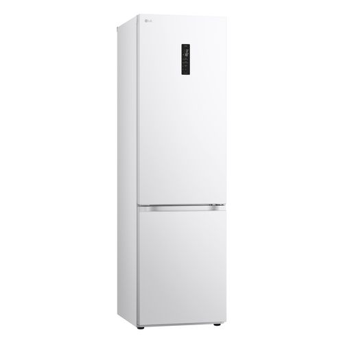 Combiné LG GBV5250DSW 387L Blanc