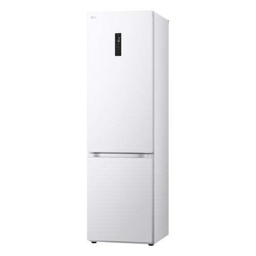 Combiné LG GBV5250DSW 387L Blanc