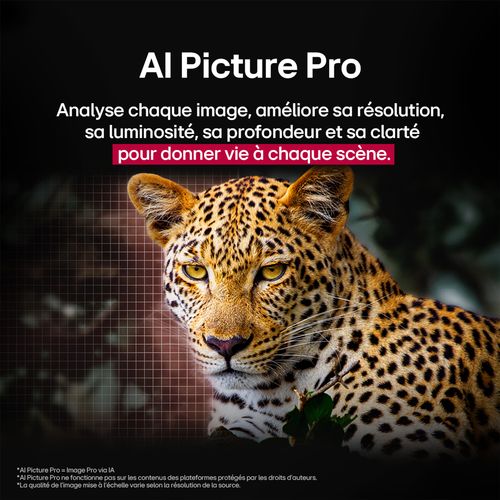 Téléviseur OLED AI 55'' 4K LG 139 cm OLED55B56LA.AEU