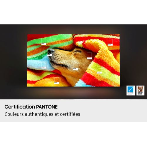 Téléviseur OLED 55'' 140 cm SAMSUNG 55S85FAUXXC