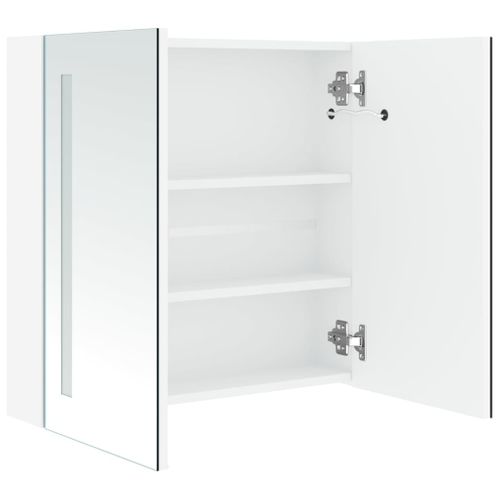 Armoire De Salle De Bain à Miroir LED 60x14x62 Cm