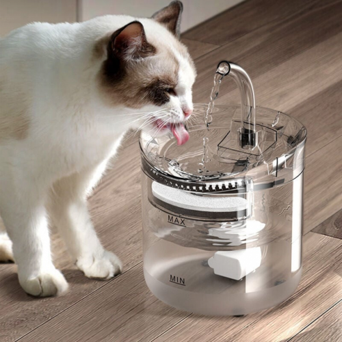 Fontaine à Eau Automatique Pour Chat Fontaine à Eau Pour Chat Et Chiot 2l