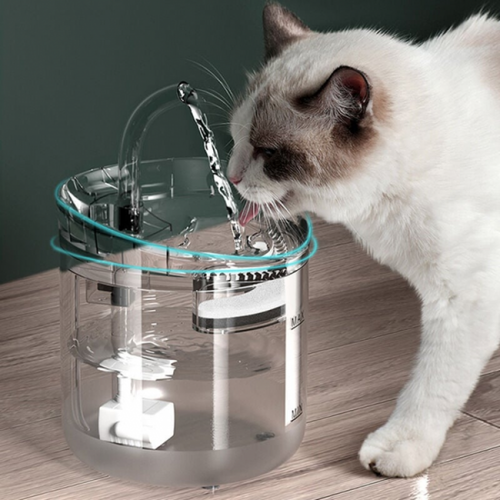 Fontaine à Eau Automatique Pour Chat Fontaine à Eau Pour Chat Et Chiot 2l