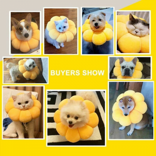 1 Pièce L Élisabéthain Collar, Collier De Récupération Pour Chat Collerette De Protection Ajustabl