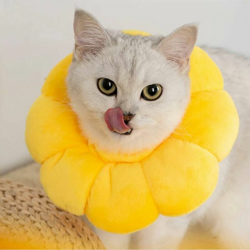 1 Pièce L Élisabéthain Collar, Collier De Récupération Pour Chat Collerette De Protection Ajustabl