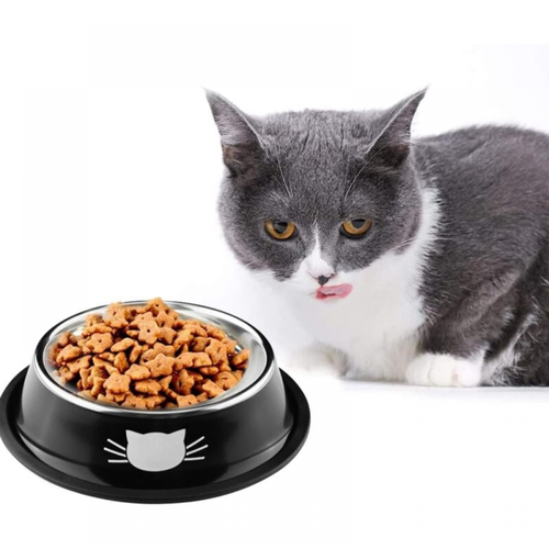 Gamelle Pour Chat 2 Pièces Chat Bol, Gamelle Chat En Acier Inoxydable Ensemble, Mangeoirs Et Abreu