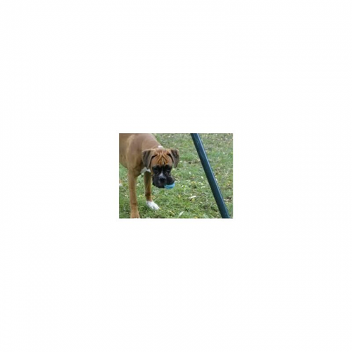 5 Cm Fun Balle, Menthe, En Caoutchouc Naturel