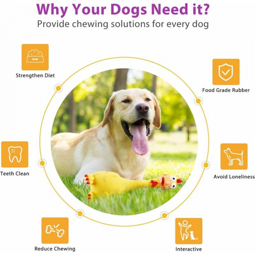 Jouet Chien Interactif, Couineur Jouets à Mâcher, Chien Accessoires Jeux