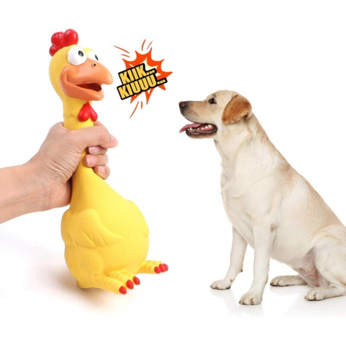 Jouet Chien Interactif, Couineur Jouets à Mâcher, Chien Accessoires Jeux