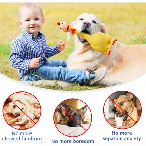 Jouet Chien Interactif, Couineur Jouets à Mâcher, Chien Accessoires Jeux