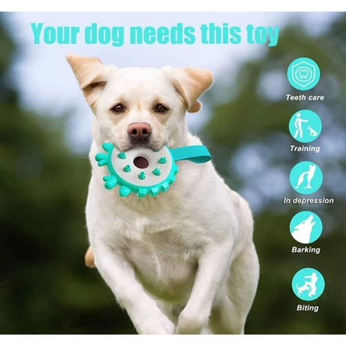 Fournitures Pour Animaux De Compagnie : Brosses à Dents, Bâtons De Dentition, Anneaux De Frisbee