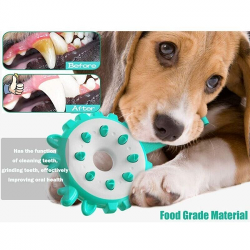 Fournitures Pour Animaux De Compagnie : Brosses à Dents, Bâtons De Dentition, Anneaux De Frisbee