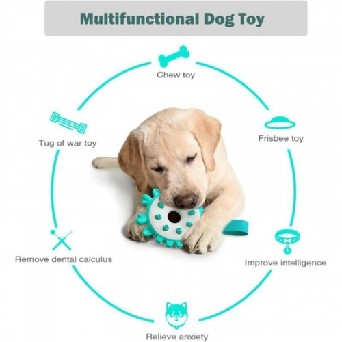 Fournitures Pour Animaux De Compagnie : Brosses à Dents, Bâtons De Dentition, Anneaux De Frisbee