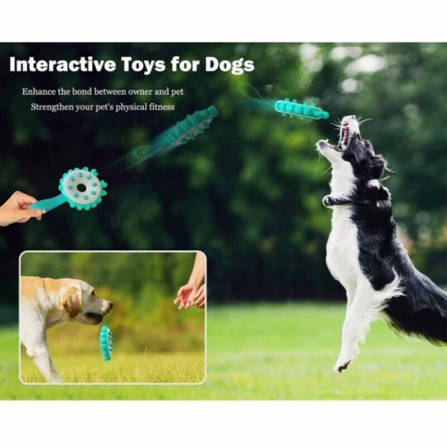 Fournitures Pour Animaux De Compagnie : Brosses à Dents, Bâtons De Dentition, Anneaux De Frisbee