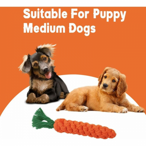 2 Pièces Jouets à Mâcher Pour Chien Carotte, Jouet Pour Chien En Corde Tressée, Jouet Pour Chien