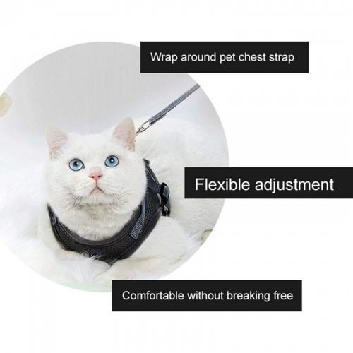 M Harnais Pour Chat Harnais Chat,harnais Pour Chat,laisse Harnais Chat,harnais Laisse Pour Chat