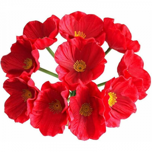 10 Set Artificiel Coquelicots Sauvages Artificiels Fausses Fleurs Artificielles Au Toucher Réalist
