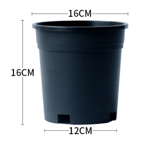 16*12cm,  Diamètre 16cm , 1 Pièce Pot De Fleur En Plastique, Pot De Fleur Épaissi Noir Gallon