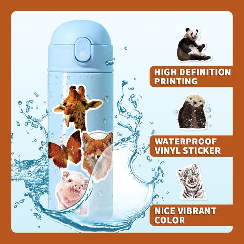 50 Reusable Stickers Inspired By Nature (eye Like Stickers), Multicolour