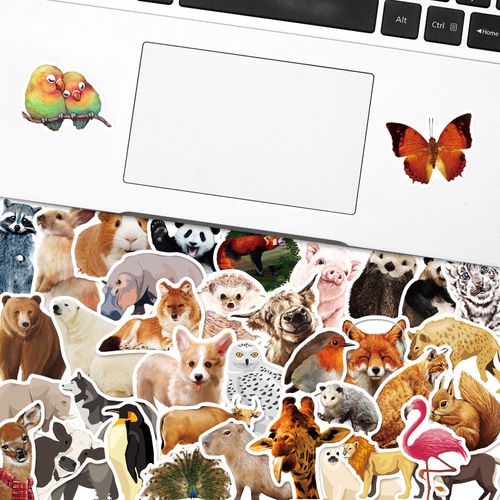 50 Reusable Stickers Inspired By Nature (eye Like Stickers), Multicolour