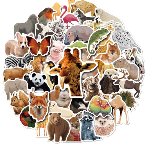50 Reusable Stickers Inspired By Nature (eye Like Stickers), Multicolour