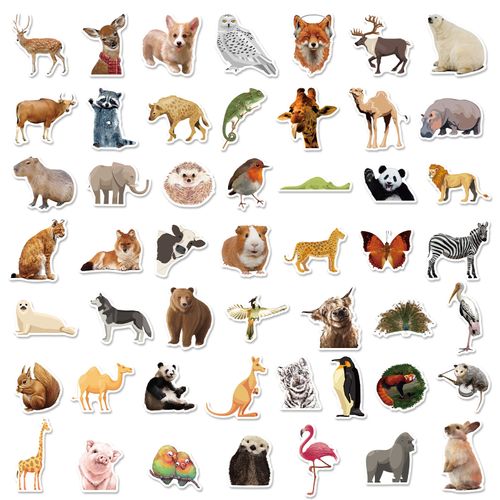 50 Reusable Stickers Inspired By Nature (eye Like Stickers), Multicolour