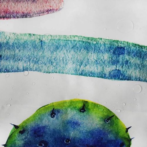 Rideau De Douche Salle De Bains Cactus 180 * 180cm  Avec Crochet, Résistant à La Moisissure