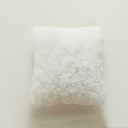 Lot De 2 Housses De Coussin De Canapé En Fourrure De Luxe, Décor De Canapé, Chambre à Coucher