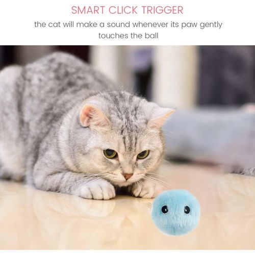 Jouet Interactif Pour Chat Avec Oiseau, Grenouille Et Cricket, Chat En Peluche à Chasser  Bleu