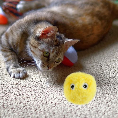 Jouet Interactif Pour Chat Avec Oiseau, Grenouille Et Cricket, Chat En Peluche à Chasser Jaune