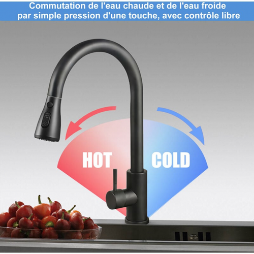 Mitigeur D'évier Noir, Robinet D'évier Extensible Pivotant à 360° Avec 2 Modes