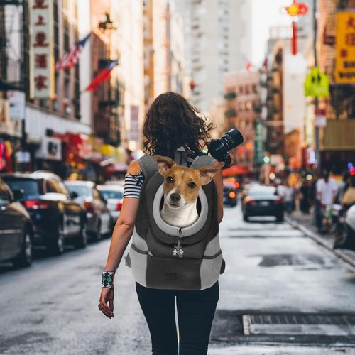 Sac à Dos Pour Chien Sac à Dos Pour Chien Sac Pour Chien Sac Pour Animal -1