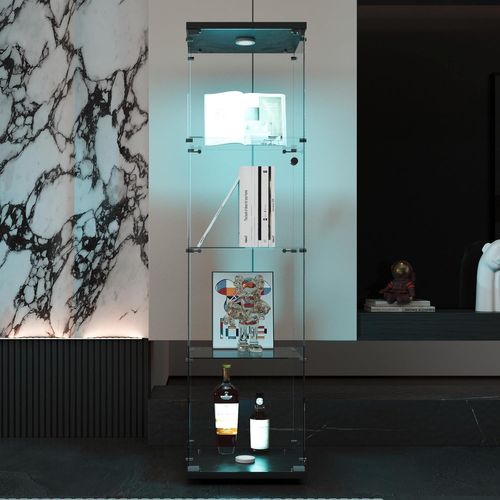 Vitrine En Verre 4 Étagères, LED, 1 Porte, 164x42x36 Cm, Meuble Pour Collection, Noir, Transparent